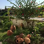 Kilim & Fethiye