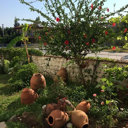 Kilim & Φετιγιέ