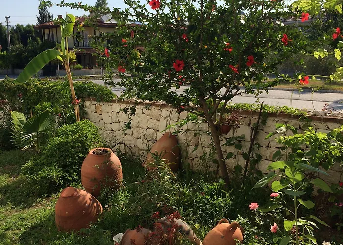 Kilim & Фетхие